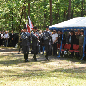 Wprowadzenie pocztów sztandarowych.