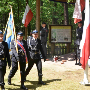 Wprowadzenie pocztów sztandarowych.