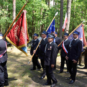 Wprowadzenie pocztów sztandarowych.