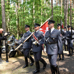 Wprowadzenie żołnierzy.