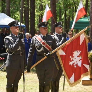 Wprowadzenie pocztów sztandarowych.