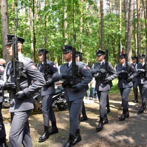 Wprowadzenie żołnierzy.