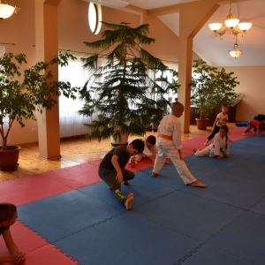 Zajęcia Karate.