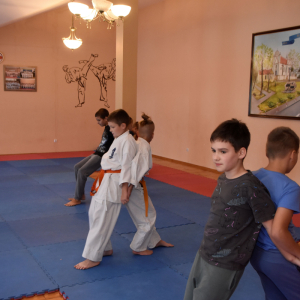 Zajęcia Karate.