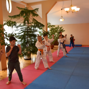 Zajęcia Karate.