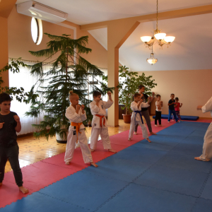 Zajęcia Karate.