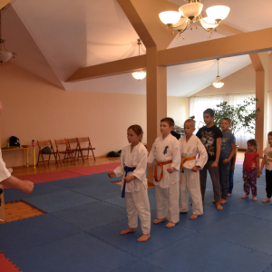 Zajęcia Karate.