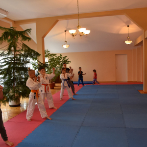 Zajęcia Karate.