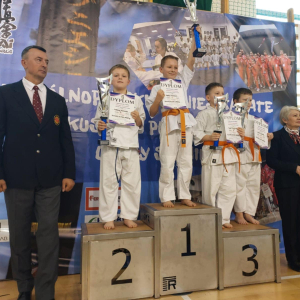 Zdjęcia z turnieju karate w Staninie.
