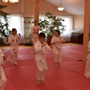 Zdjęcia z egzaminu karate.