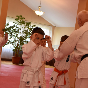 Zdjęcia z egzaminu karate.