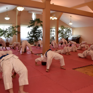 Zdjęcia z egzaminu karate.