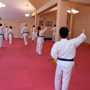 Zdjęcia z egzaminu karate.