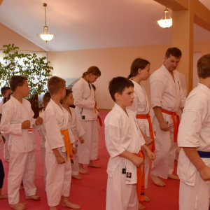 Zdjęcia z egzaminu karate.