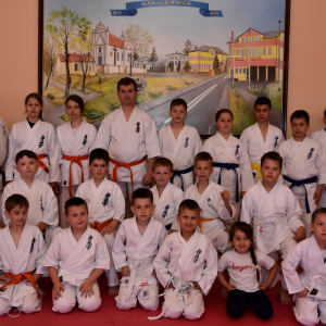Zdjęcia z egzaminu karate.