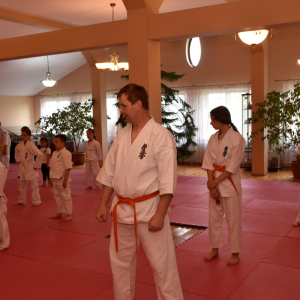Zdjęcia z egzaminu karate.