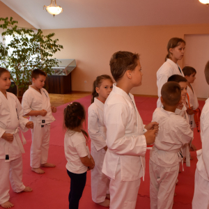 Zdjęcia z egzaminu karate.
