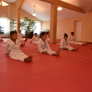Zdjęcia z egzaminu karate.