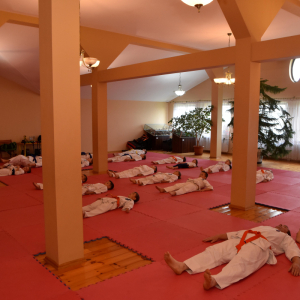 Zdjęcia z egzaminu karate.