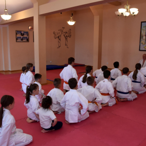 Zdjęcia z egzaminu karate.