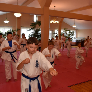 Zdjęcia z egzaminu karate.