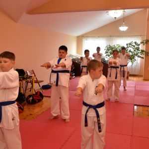 Zdjęcia z egzaminu karate.