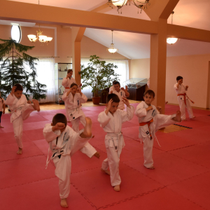 Zdjęcia z egzaminu karate.