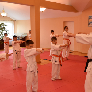 Zdjęcia z egzaminu karate.