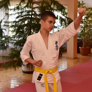 Zdjęcia z egzaminu karate.