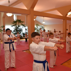 Zdjęcia z egzaminu karate.