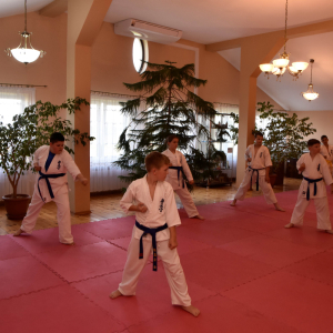 Zdjęcia z egzaminu karate.