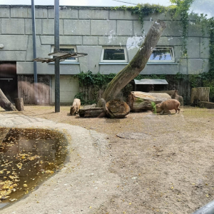 Zdjęcia z wycieczki do ZOO.