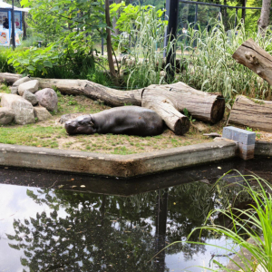 Zdjęcia z wycieczki do ZOO.