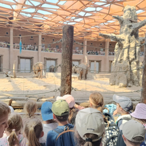Zdjęcia z wycieczki do ZOO.