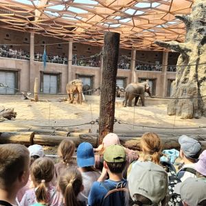 Zdjęcia z wycieczki do ZOO.