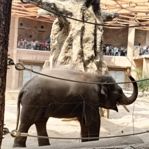Zdjęcia z wycieczki do ZOO.