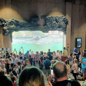 Zdjęcia z wycieczki do ZOO.