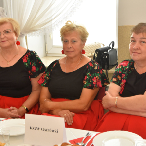 Zdjęcia ze spotkania "Zaśpiewajmy to jeszcze raz".