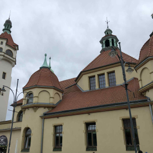 Zdjęcia z wycieczki.