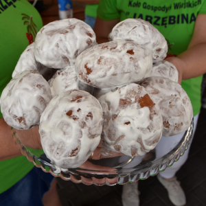 Zdjęcia z pikniku.