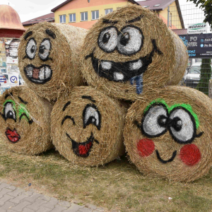 Zdjęcia z dożynek.