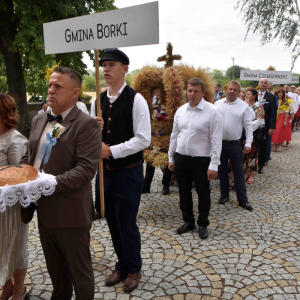 Zdjęcia z dożynek.