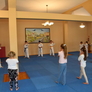 Zdjęcia z treningu Karate.
