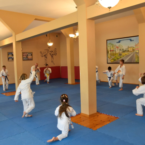 Zdjęcia z treningu Karate.