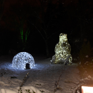 Uczestnicy wycieczki podczas zwiedzania Lumina Parku.