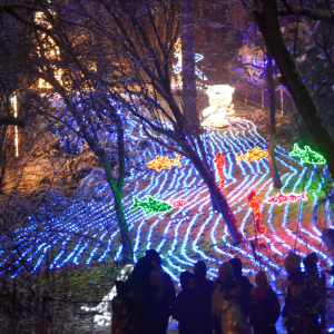 Uczestnicy wycieczki podczas zwiedzania Lumina Parku.